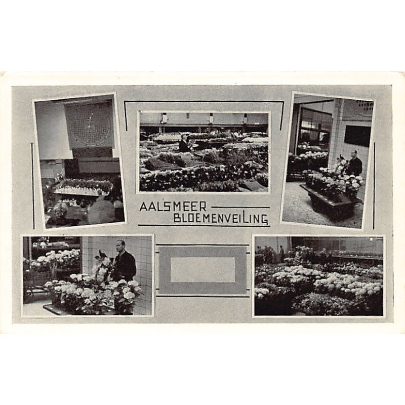 Rare collectable postcards of NEDERLAND. Vintage Postcards of NEDERLAND