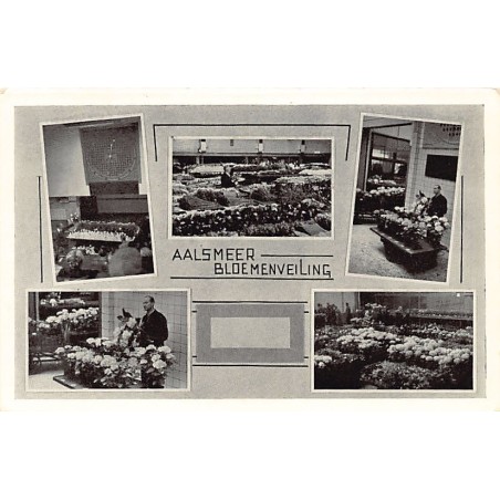 Rare collectable postcards of NEDERLAND. Vintage Postcards of NEDERLAND