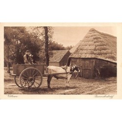 Rare collectable postcards of NEDERLAND. Vintage Postcards of NEDERLAND