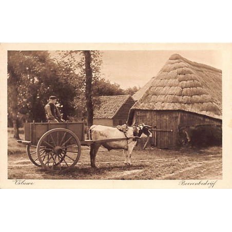 Rare collectable postcards of NEDERLAND. Vintage Postcards of NEDERLAND