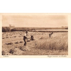 Rare collectable postcards of NEDERLAND. Vintage Postcards of NEDERLAND