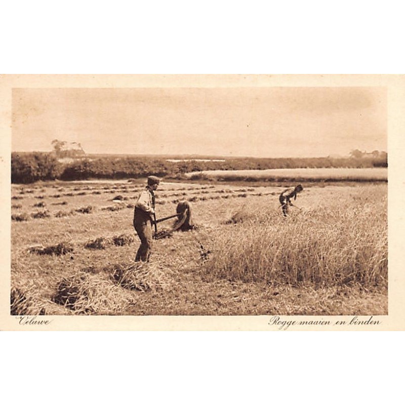 Rare collectable postcards of NEDERLAND. Vintage Postcards of NEDERLAND