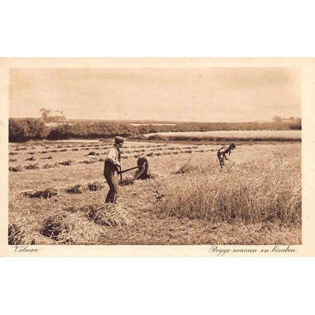 Rare collectable postcards of NEDERLAND. Vintage Postcards of NEDERLAND