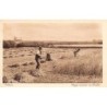 Rare collectable postcards of NEDERLAND. Vintage Postcards of NEDERLAND