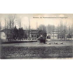 Rare collectable postcards of NEDERLAND. Vintage Postcards of NEDERLAND