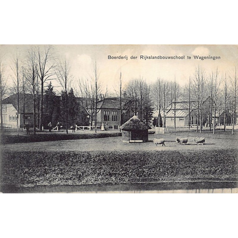 Rare collectable postcards of NEDERLAND. Vintage Postcards of NEDERLAND