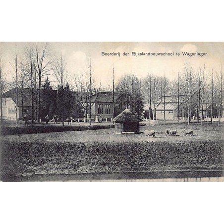Rare collectable postcards of NEDERLAND. Vintage Postcards of NEDERLAND
