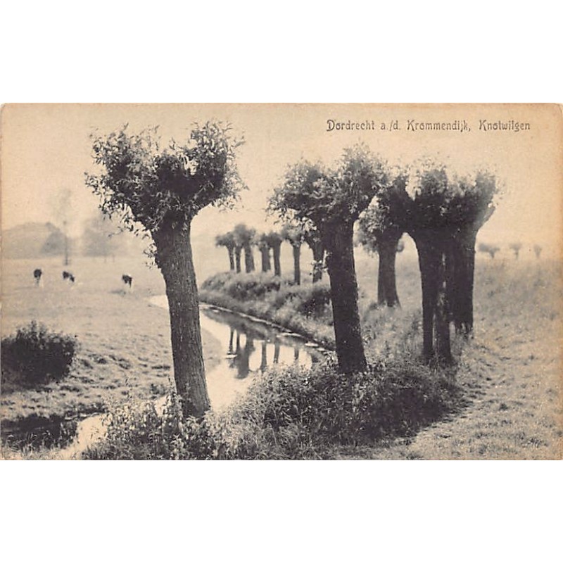 Rare collectable postcards of NEDERLAND. Vintage Postcards of NEDERLAND