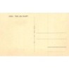 Rare collectable postcards of NEDERLAND. Vintage Postcards of NEDERLAND