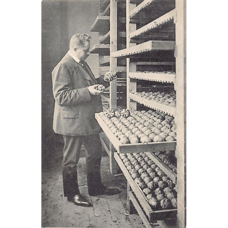 Rare collectable postcards of NEDERLAND. Vintage Postcards of NEDERLAND