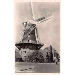 Rare collectable postcards of NEDERLAND. Vintage Postcards of NEDERLAND