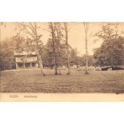 Rare collectable postcards of NEDERLAND. Vintage Postcards of NEDERLAND