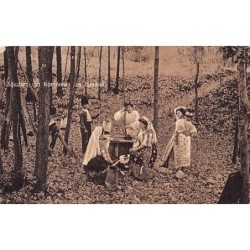 Rare collectable postcards of ROMANIA. Vintage Postcards of ROMANIA