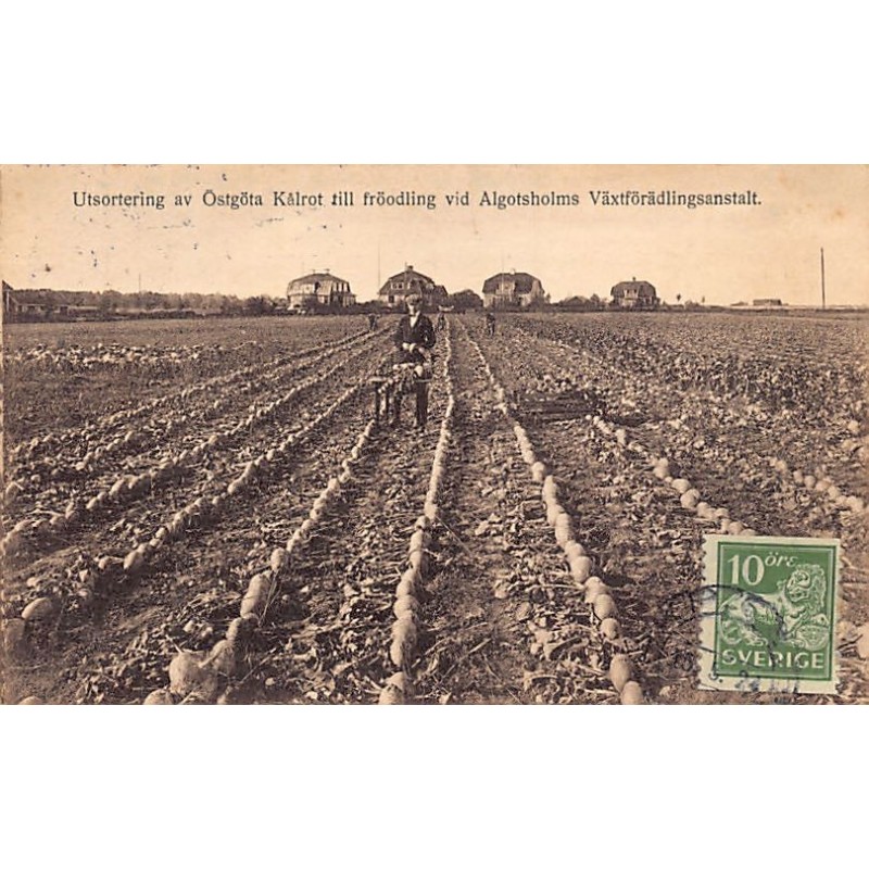 Rare collectable postcards of SWEDEN. Vintage Postcards of SWEDEN