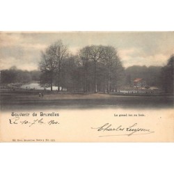 Rare collectable postcards of BELGIQUE BELGIË BELGIUM. Vintage Postcards of BELGIQUE BELGIË BELGIUM