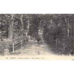 Rare collectable postcards of JERSEY. Vintage Postcards of JERSEY