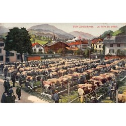 Rare collectable postcards of SUISSE SCHWEIZ SVIZZERA SWITZERLAND. Vintage Postcards of SUISSE SCHWEIZ SVIZZERA SWITZERLAND