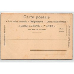 Rare collectable postcards of SUISSE SCHWEIZ SVIZZERA SWITZERLAND. Vintage Postcards of SUISSE SCHWEIZ SVIZZERA SWITZERLAND
