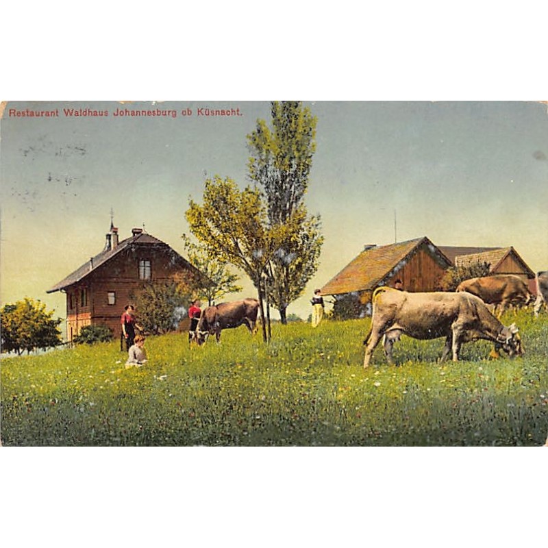 Rare collectable postcards of SUISSE SCHWEIZ SVIZZERA SWITZERLAND. Vintage Postcards of SUISSE SCHWEIZ SVIZZERA SWITZERLAND