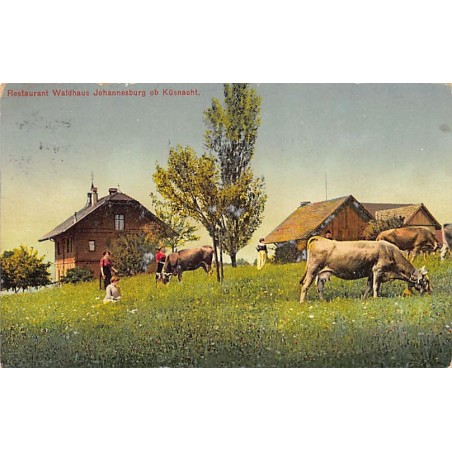 Rare collectable postcards of SUISSE SCHWEIZ SVIZZERA SWITZERLAND. Vintage Postcards of SUISSE SCHWEIZ SVIZZERA SWITZERLAND