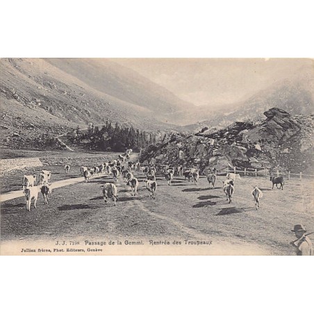 Rare collectable postcards of SUISSE SCHWEIZ SVIZZERA SWITZERLAND. Vintage Postcards of SUISSE SCHWEIZ SVIZZERA SWITZERLAND