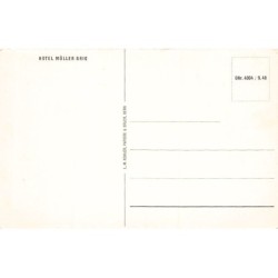 Rare collectable postcards of SUISSE SCHWEIZ SVIZZERA SWITZERLAND. Vintage Postcards of SUISSE SCHWEIZ SVIZZERA SWITZERLAND