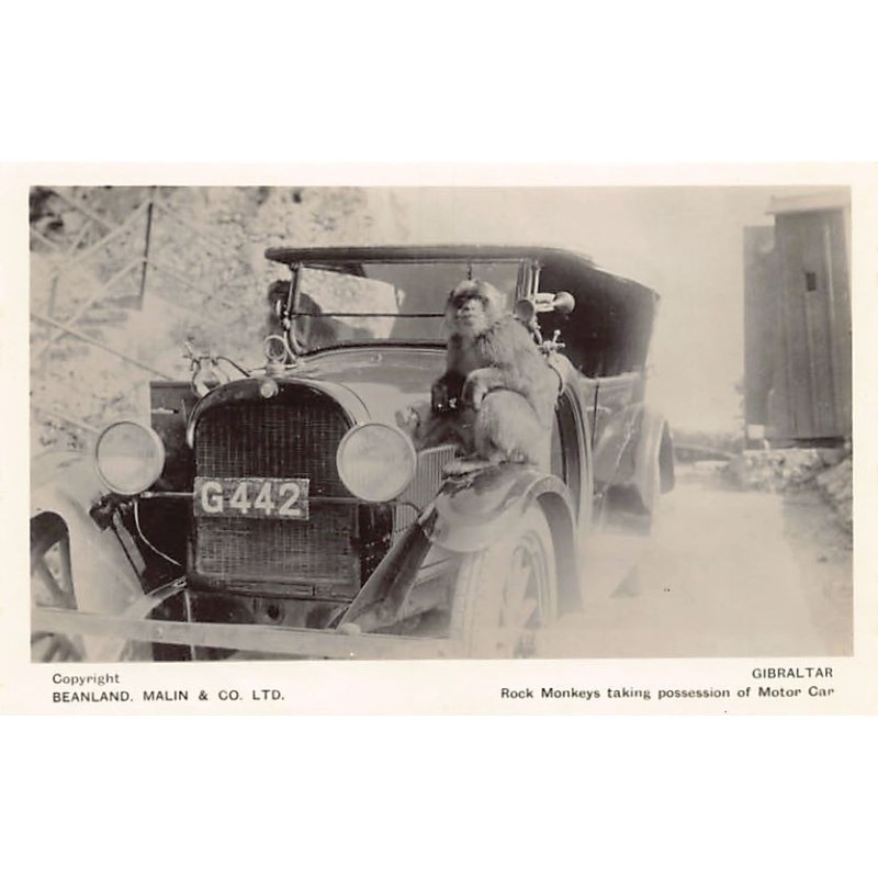 Rare collectable postcards of GIBRALTAR. Vintage Postcards of GIBRALTAR