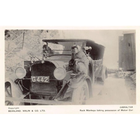 Rare collectable postcards of GIBRALTAR. Vintage Postcards of GIBRALTAR