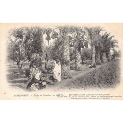 Rare collectable postcards of FRANCE. Vintage Postcards of FRANCE