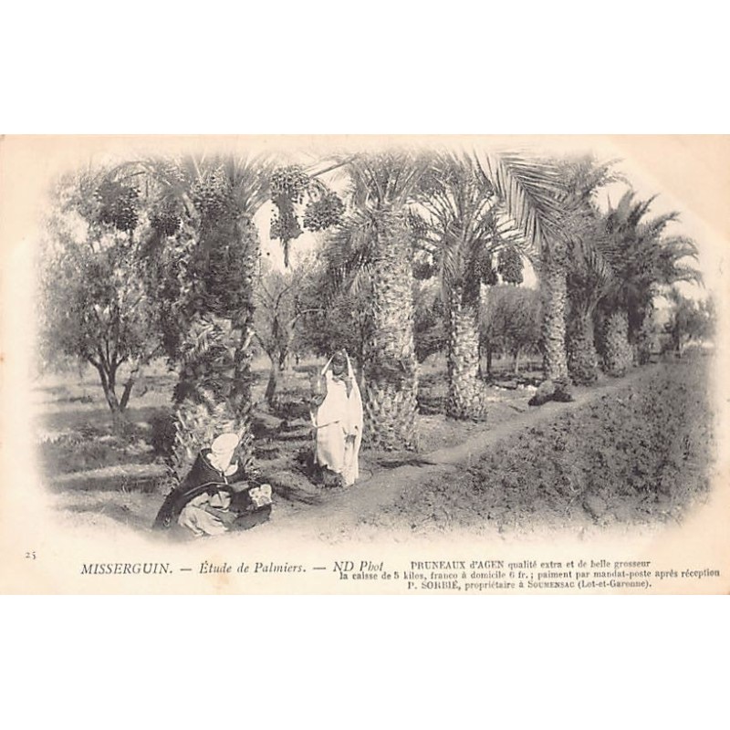 Rare collectable postcards of FRANCE. Vintage Postcards of FRANCE