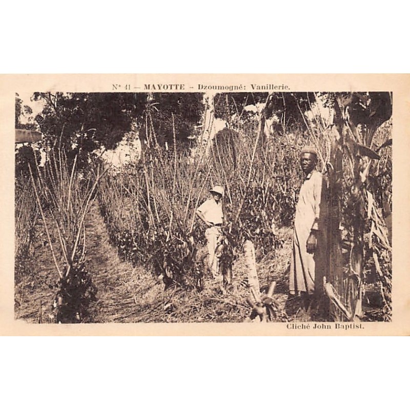 Rare collectable postcards of COMOROS. Vintage Postcards of COMOROS