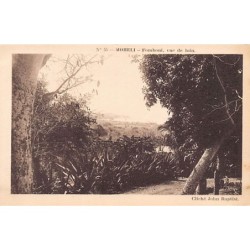 Rare collectable postcards of COMOROS. Vintage Postcards of COMOROS