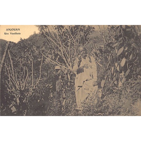 Rare collectable postcards of COMOROS. Vintage Postcards of COMOROS