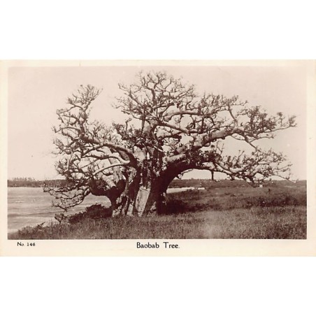 Rare collectable postcards of KENYA. Vintage Postcards of KENYA