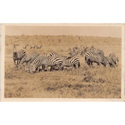 Rare collectable postcards of KENYA. Vintage Postcards of KENYA