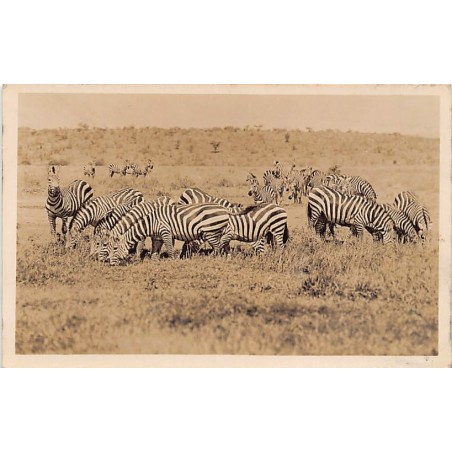 Rare collectable postcards of KENYA. Vintage Postcards of KENYA