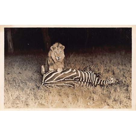 Rare collectable postcards of KENYA. Vintage Postcards of KENYA