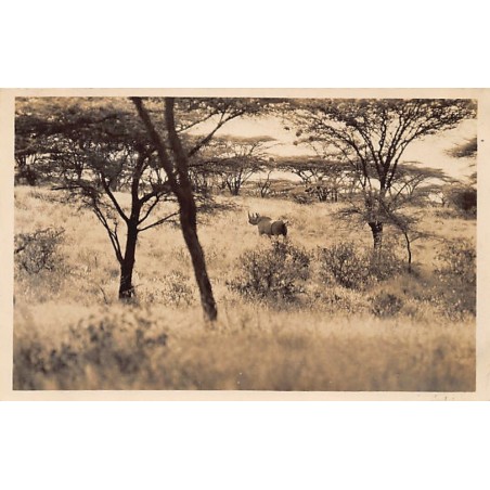 Rare collectable postcards of KENYA. Vintage Postcards of KENYA