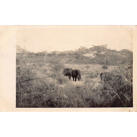 Rare collectable postcards of KENYA. Vintage Postcards of KENYA
