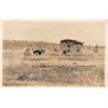 Rare collectable postcards of KENYA. Vintage Postcards of KENYA