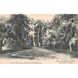 Rare collectable postcards of MAURITIUS. Vintage Postcards of MAURITIUS
