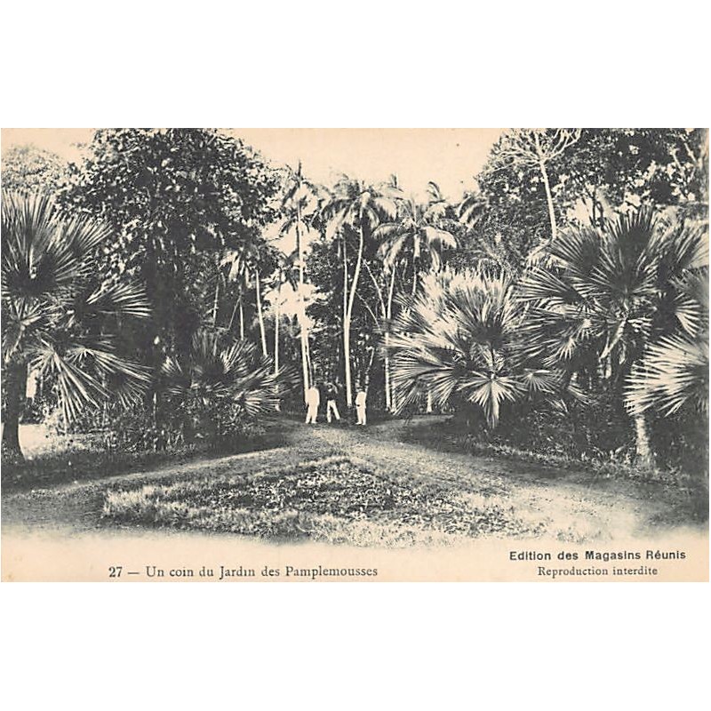 Rare collectable postcards of MAURITIUS. Vintage Postcards of MAURITIUS