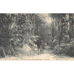 Rare collectable postcards of MAURITIUS. Vintage Postcards of MAURITIUS
