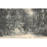 Rare collectable postcards of MAURITIUS. Vintage Postcards of MAURITIUS