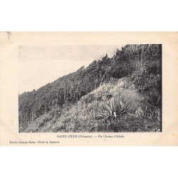 Rare collectable postcards of LA RÉUNION. Vintage Postcards of LA RÉUNION