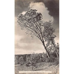 Rare collectable postcards of SOUTH AFRICA. Vintage Postcards of SOUTH AFRICA