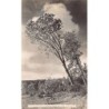 Rare collectable postcards of SOUTH AFRICA. Vintage Postcards of SOUTH AFRICA