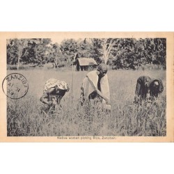 Rare collectable postcards of TANZANIA. Vintage Postcards of TANZANIA