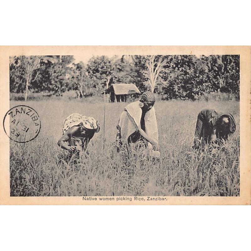 Rare collectable postcards of TANZANIA. Vintage Postcards of TANZANIA