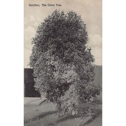 Rare collectable postcards of TANZANIA. Vintage Postcards of TANZANIA